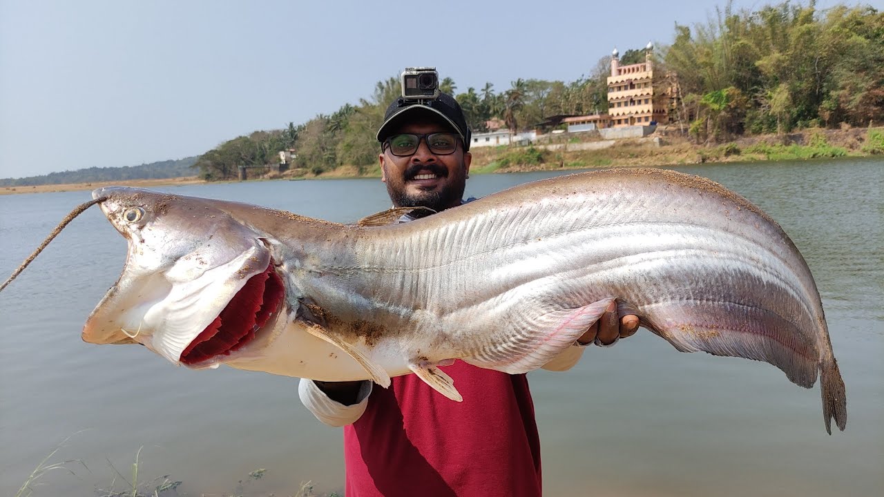 പുഴയിലെ കൊമ്പനെ തളച്ചപ്പോൾ😳😱 | kerala fishing | fishing kerala | psycho angler.