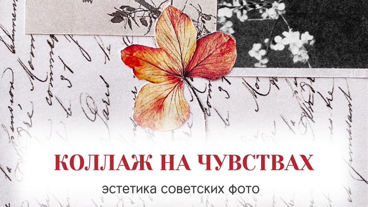 ✦ бумажный коллаж из старого журнала: весь процесс от идеи до готовой страницы