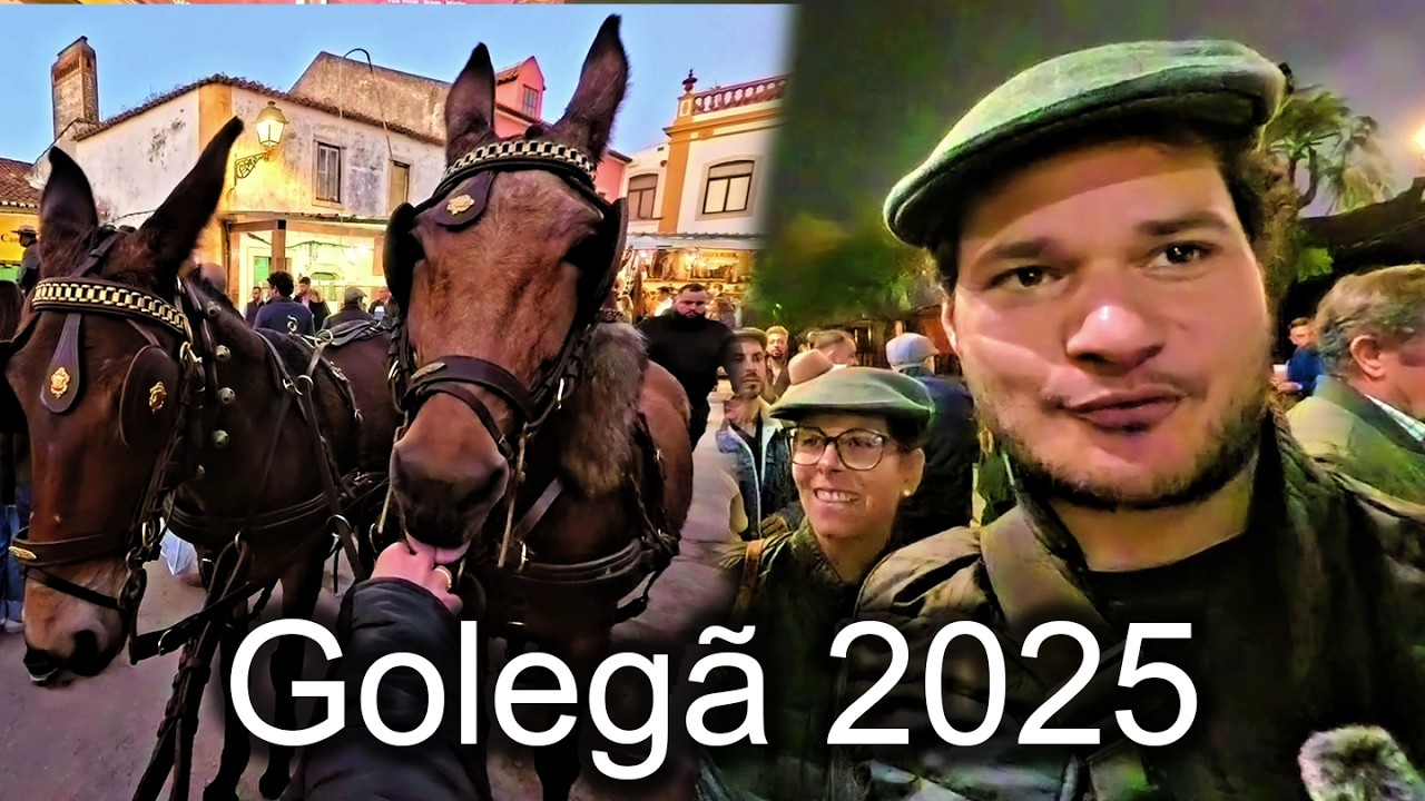 Portuguese Horse Party - Golegã 2025