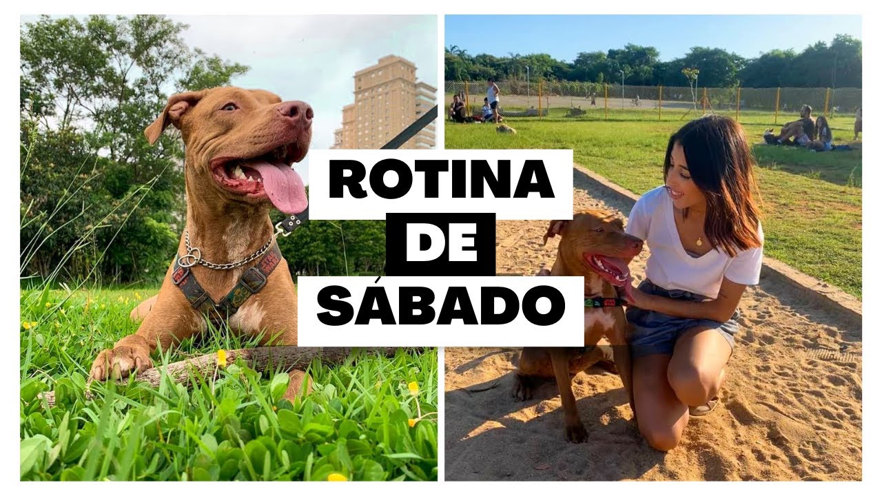 VLOG rotina de sábado | Parque Villa Lobos | Petz + Cuidados pós banho