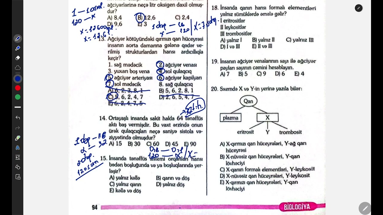 #Dəyər test toplusu. Qan-damar və tənəffüs sistemi sualların tam izahı.#keşfet#miq#sertifikasiya