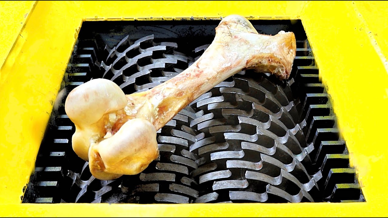The hardest bone VS Shredder！Bone is harder than you think ！This subverted my understanding ！