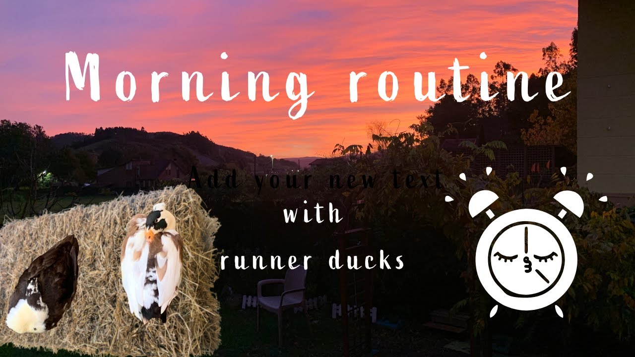 How I Start My Day with Runner Ducks 🦆 | Morning Care Routine