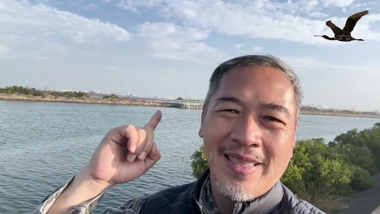 Not only Black faced Spoonbill’s birds diary 91 / 不只黑琵的鳥日記91