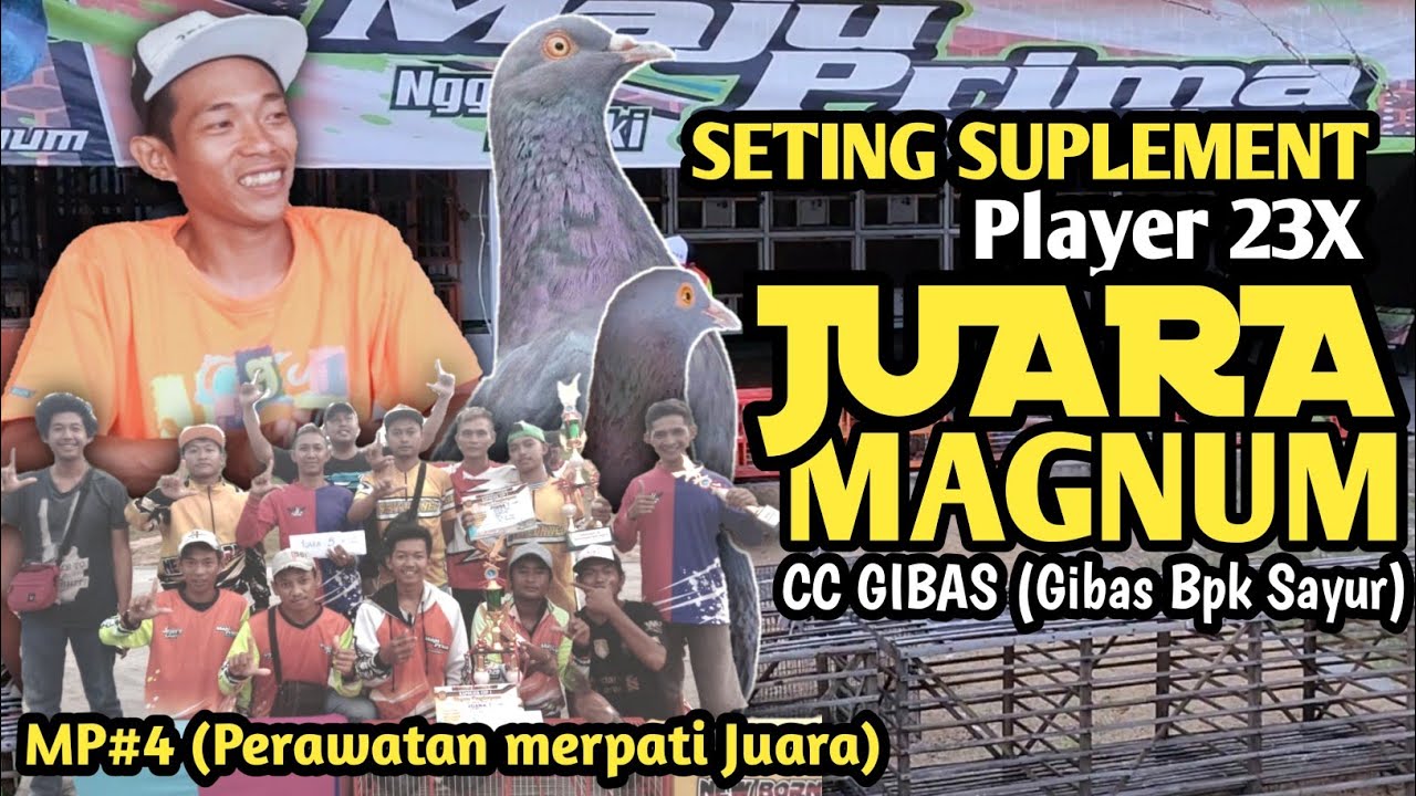 Seting Penggunaan VETAFARM Pada PLAYER Maju Prima