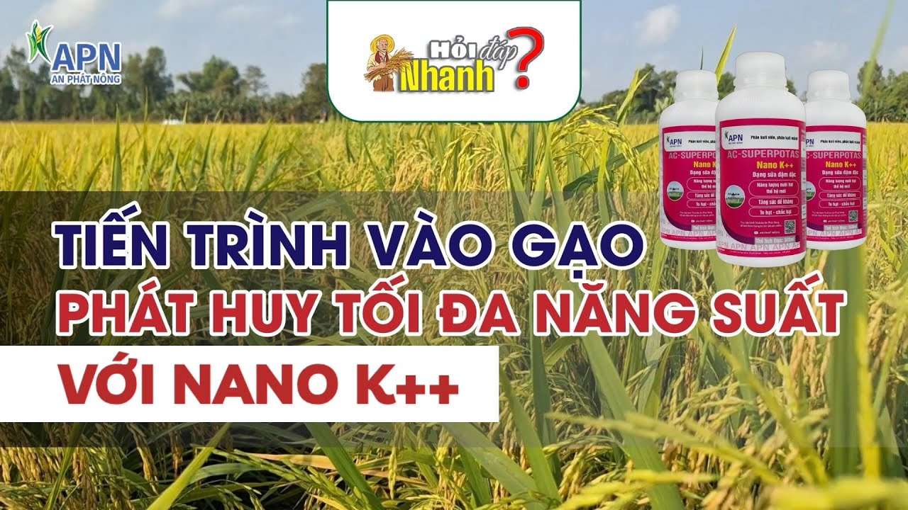 APN - HỎI ĐÁP PHÁT HUY NĂNG SUẤT TỐI ĐA VỚI NANO K++ AN PHÁT NÔNG
