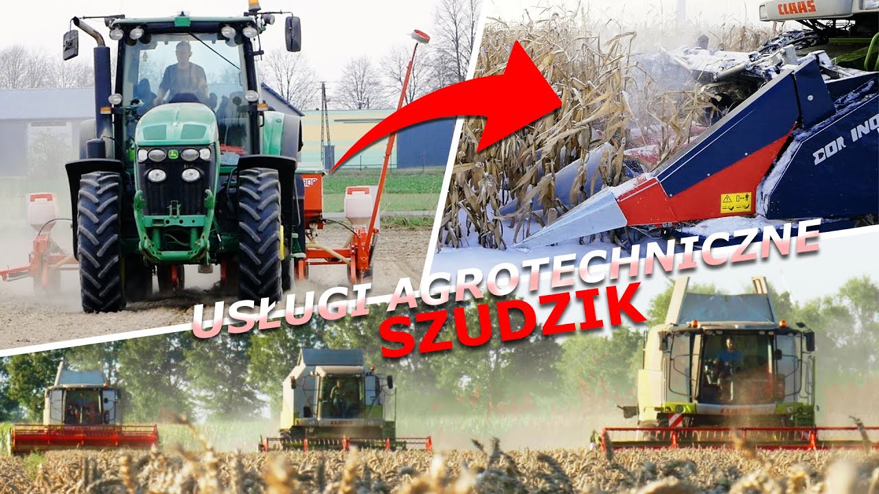 SIEW, ŻNIWA – PSZENICA + KUKURYDZA – ROK w USŁUGI AGROTECHNICZNE SZUDZIK