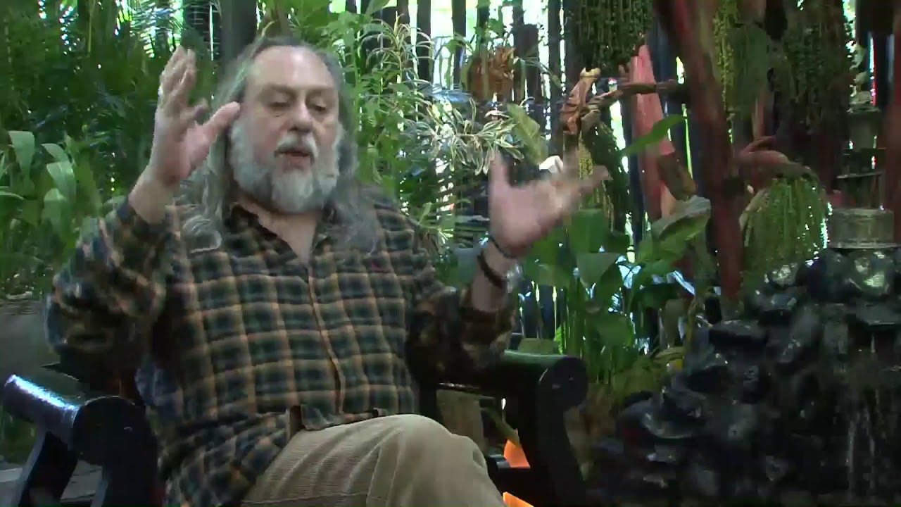 Caio fala sobre a diferença entre o homem inteligente, o culto e o sábio.