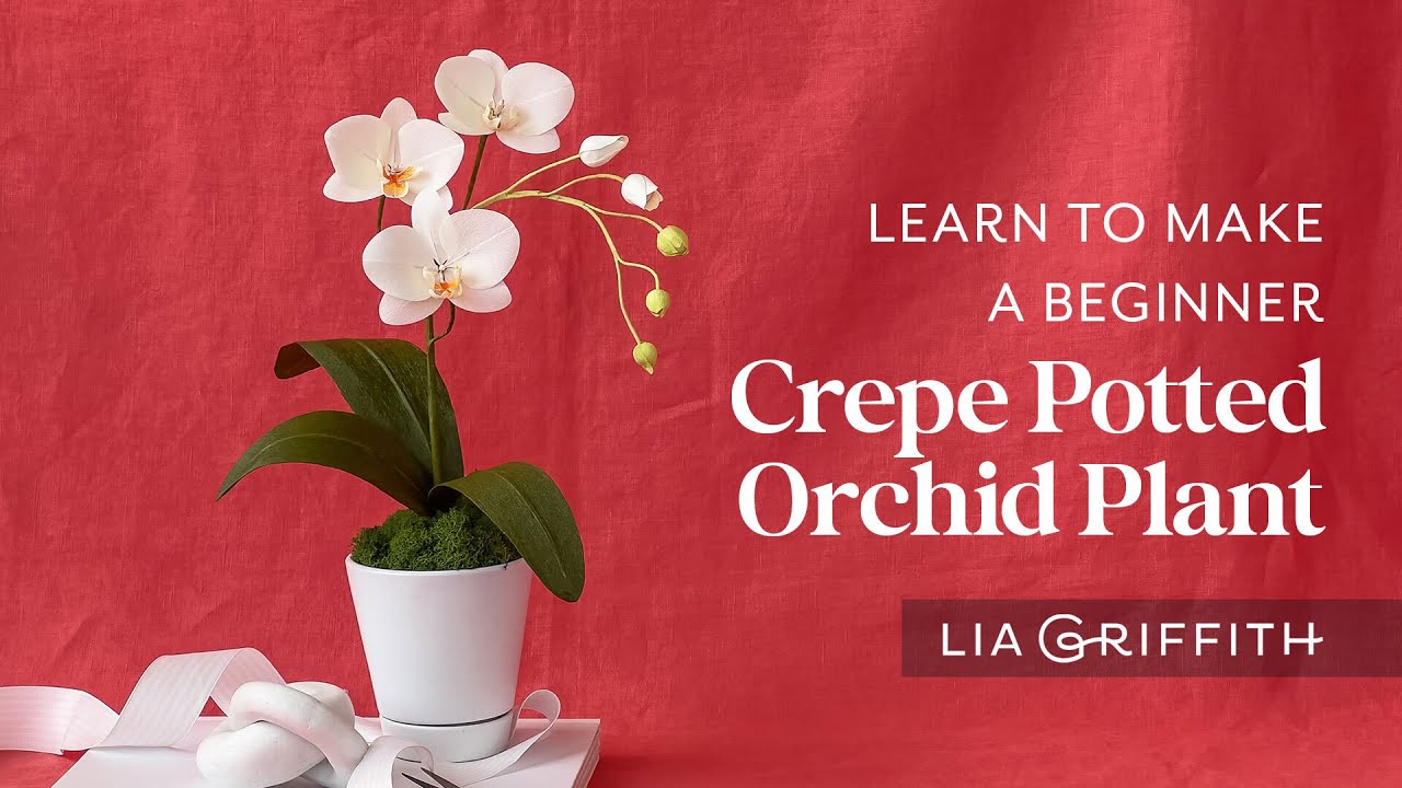 How to Make a Beginner Crepe Paper Orchid!