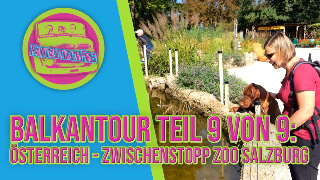 Zwischenstopp auf unserer Reise im Zoo Salzburg - Österreich - Balkantour 09