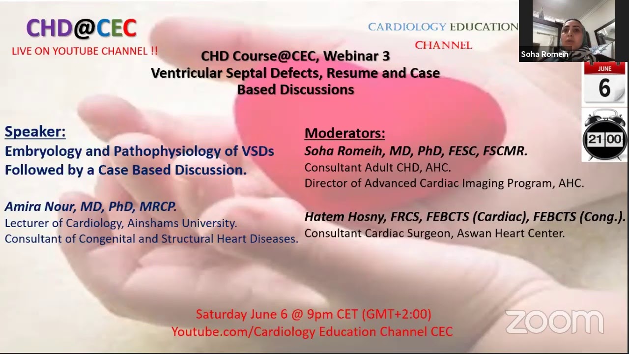 CHD@CEC, Webinar 3: VSDs