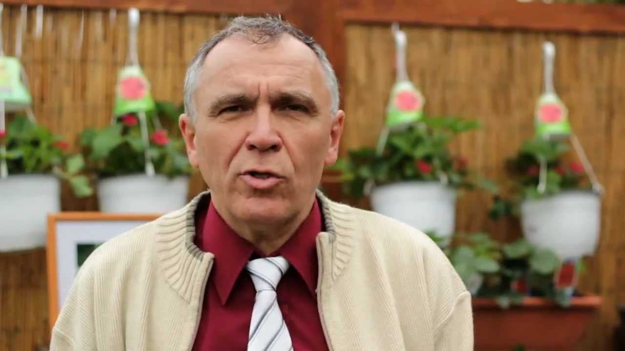 Safru akadémia: Szamóca és Málna!