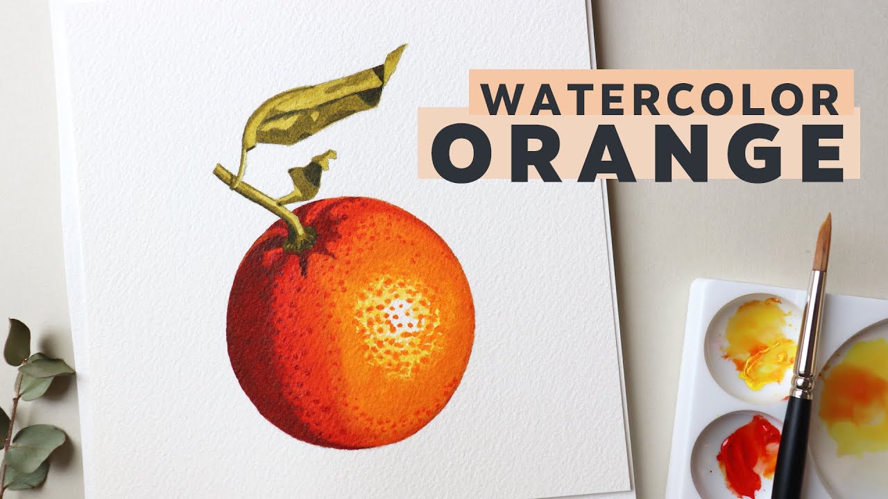 How to paint an Orange in watercolor -Food Illustration