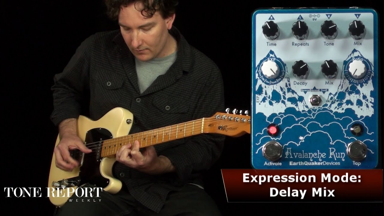 Earthquaker Devices Avalanche Run Delay/Reverb