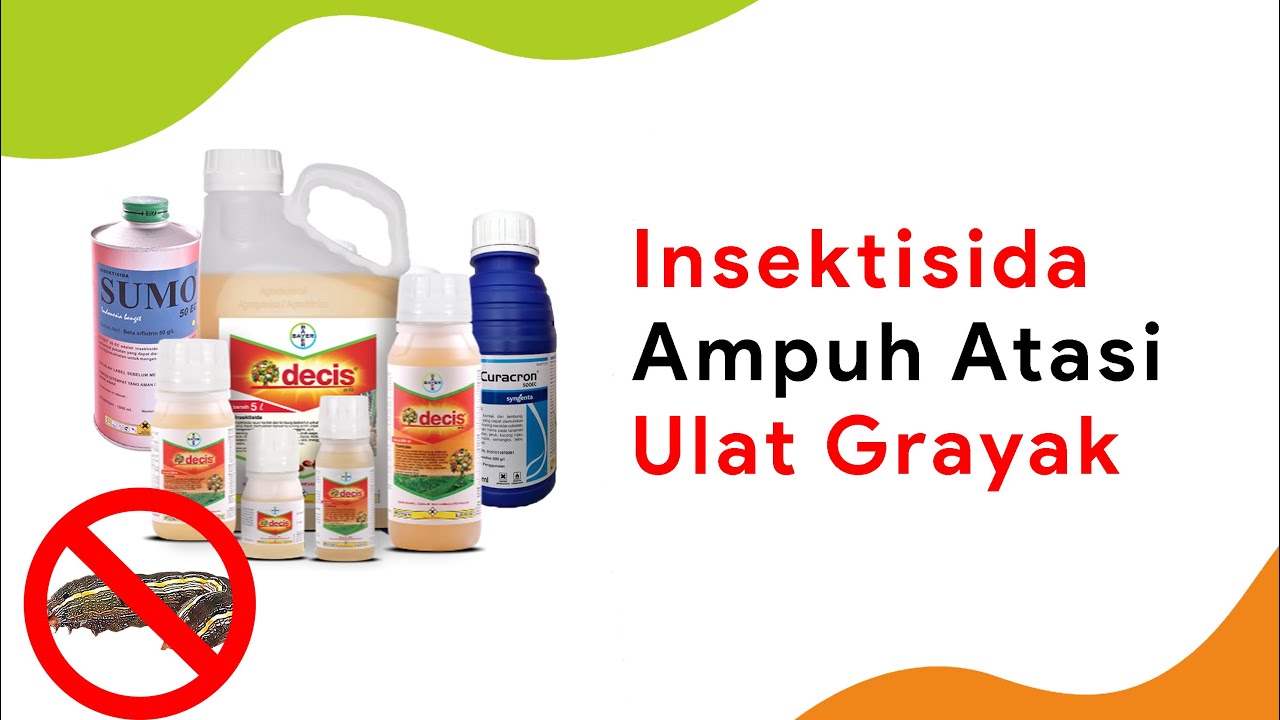10 Obat Ulat Grayak Terpopuler