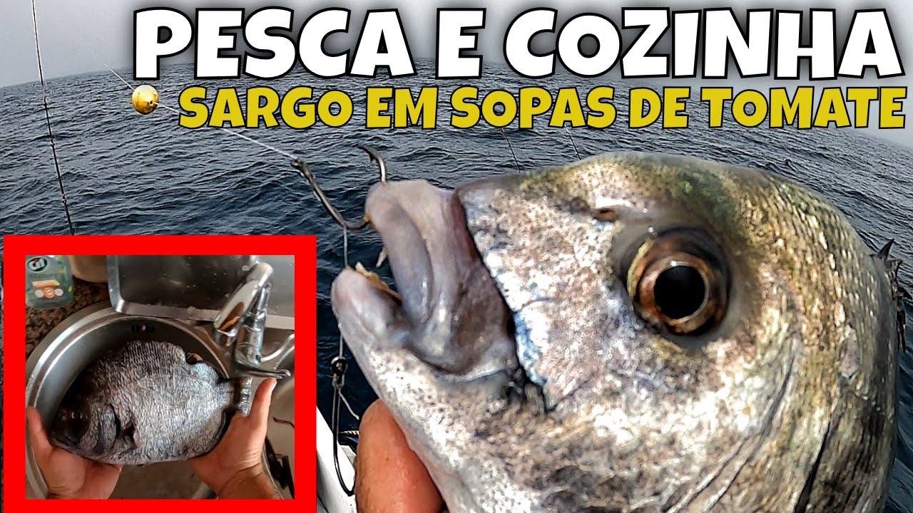 PESCA E COZINHA-SARGO EM SOPAS DE TOMATE RECEITA NA DESCRIÇÃO/ FISH AND COOK 🍅 SOAP/صيد السمك والطبخ