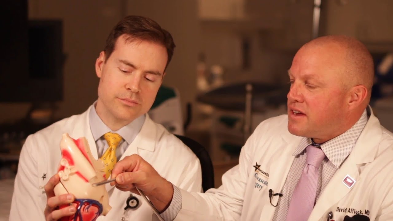 Unique Partnership Tackles Chronic Afib