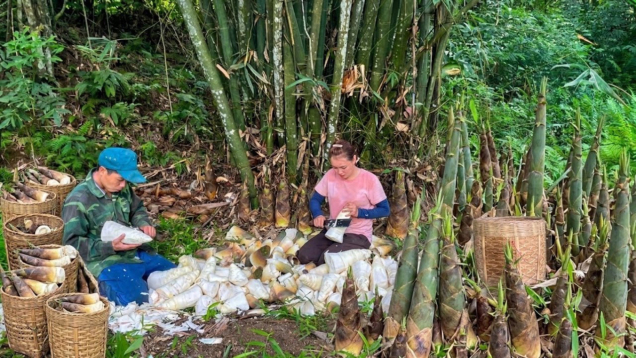 SU & HUYEN were lucky to harvest a lot of giant early-season bamboo shoots in the forest.