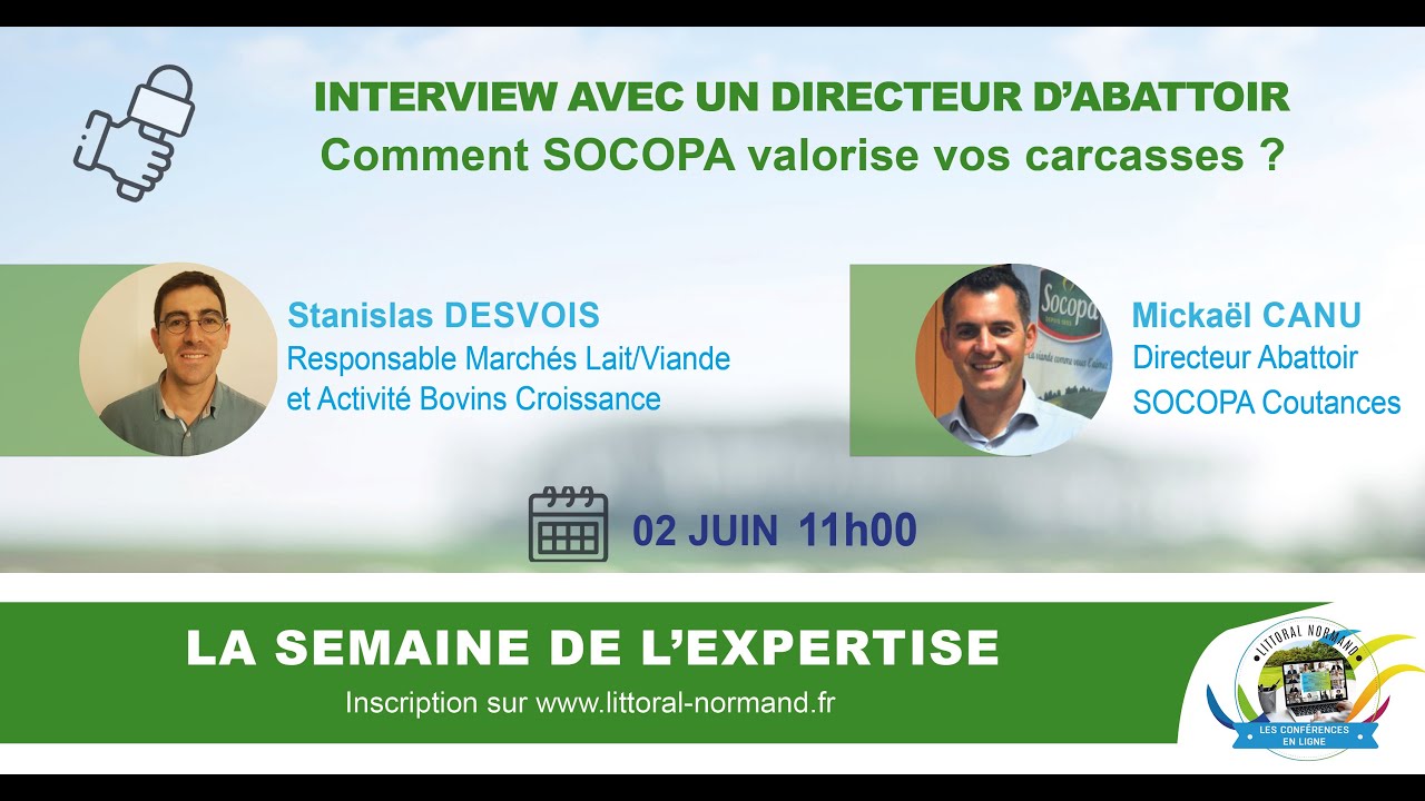 Interview avec un directeur d'abattoir : comment SOCOPA valorise vos carcasses?