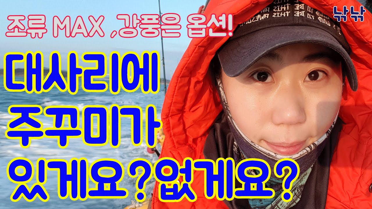 쭈꾸미 낚시를 대사리때 하면 잡힐까요 안잡힐까요?쭈꾸미 선상낚시 쭈꾸미낚시 방법 쭈꾸미채비