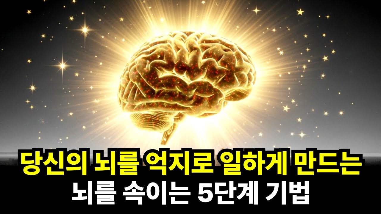 뇌의 '안락함 중독'을 깨부수고 뇌 가성비 폭발시키는 기술