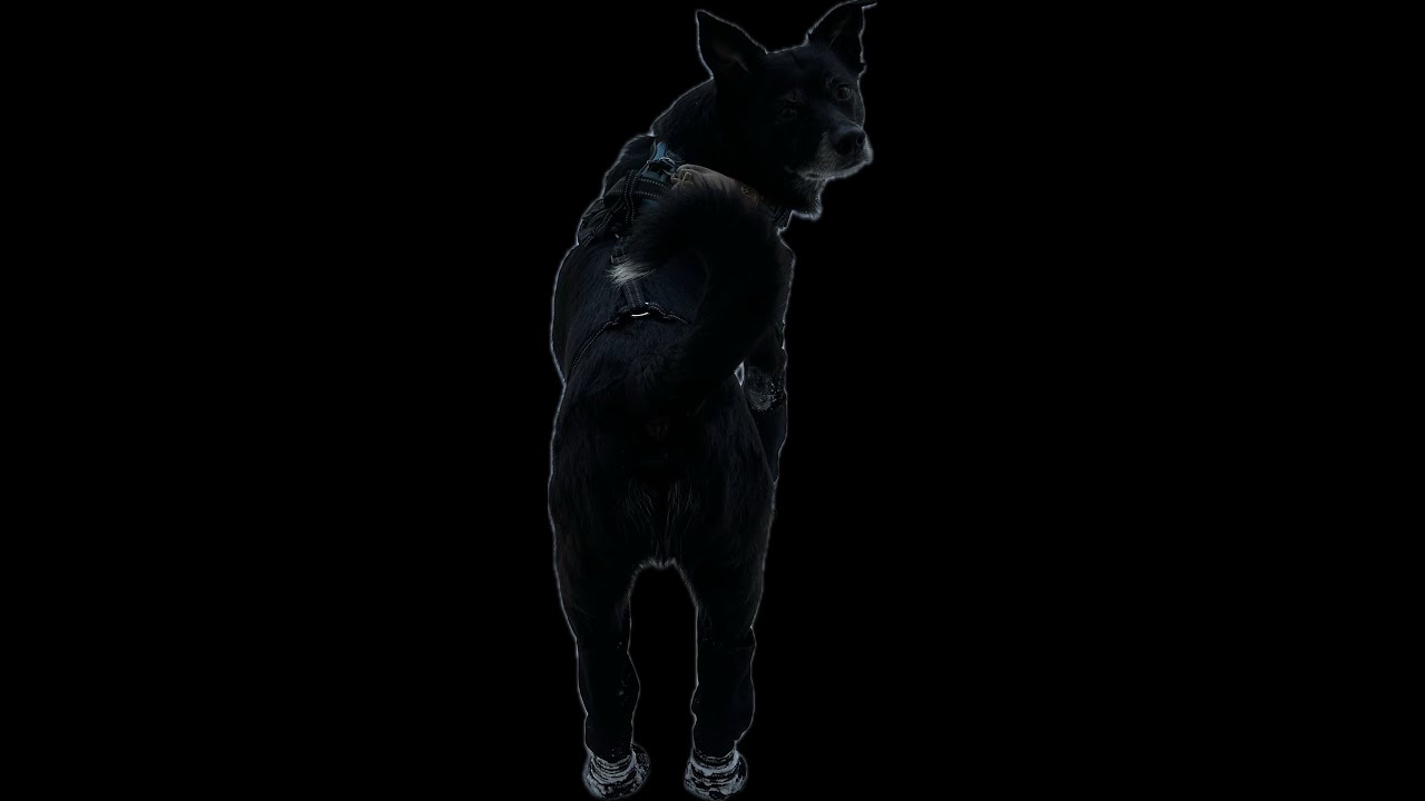 3/12/26 Dookie stream of MWIII/WAW