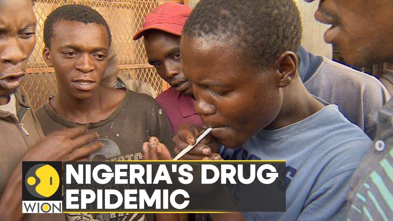 Drug menace plagues Nigeria's youth, drug abuse reaches alarming levels | Latest World News | WION