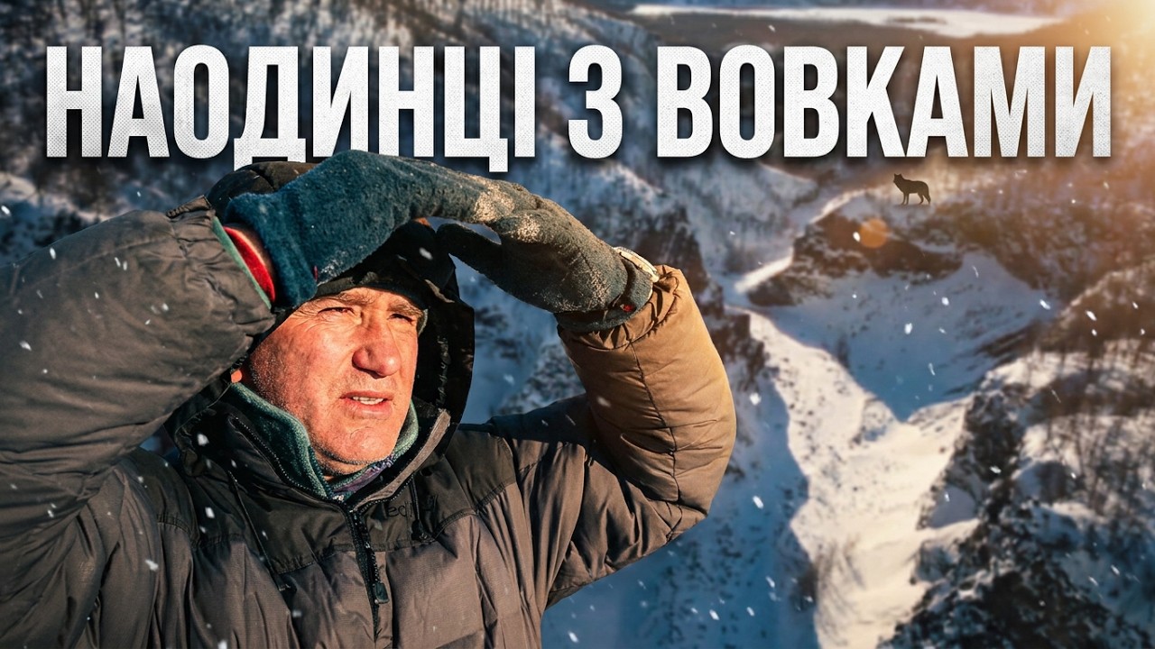 Двоє дослідників виживають у царстві вовків 