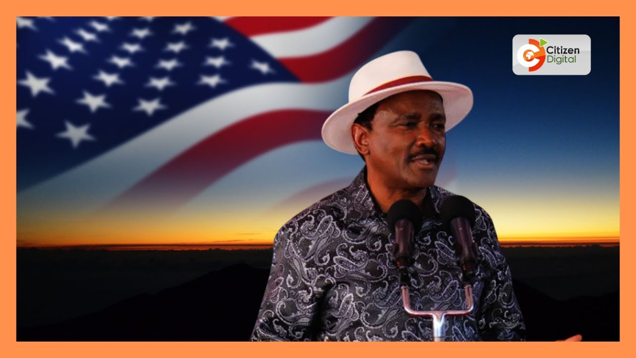Kalonzo Musyoka engages Kenyans in diaspora to gauge their needs