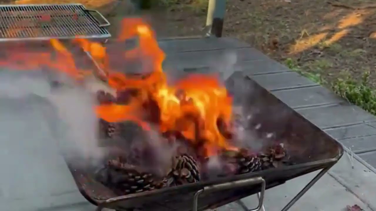 Burning pine cones