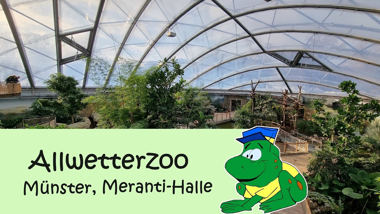 Allwetterzoo Münster, Meranti-Halle 2023