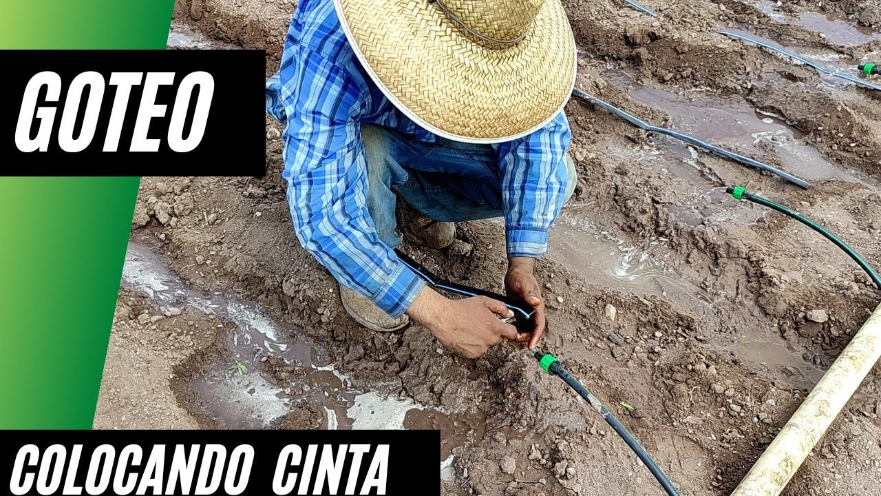 Riego por goteo con Energía Solar parte 2: Colocación de cinta.