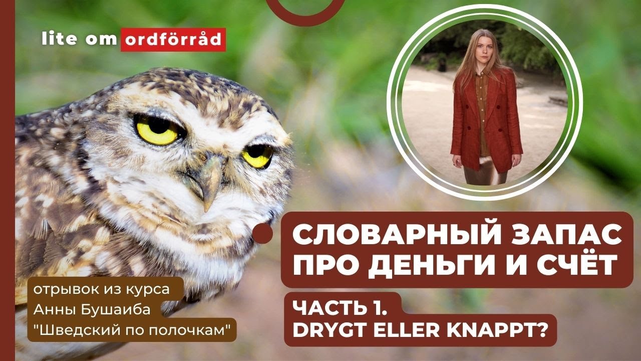 Шведский язык. Словарный запас про деньги и счёт. Часть 1.Drygt eller knappt?