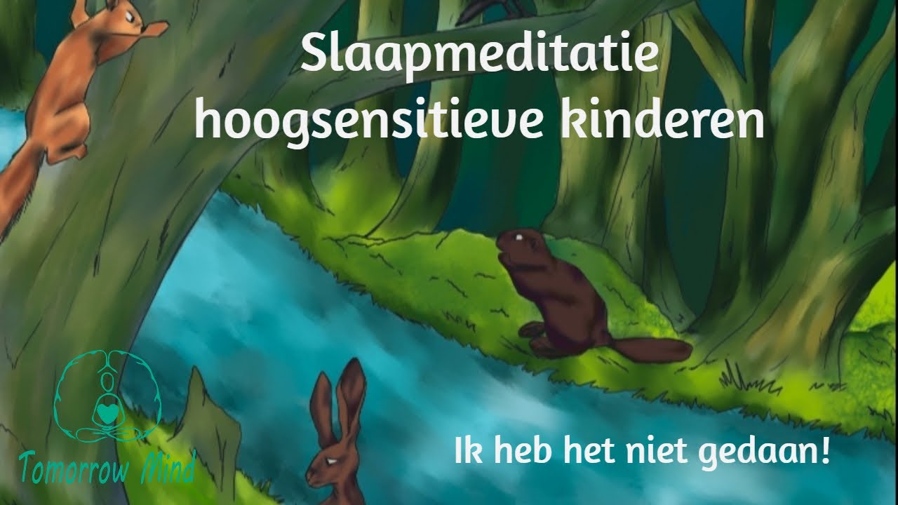 Slaapmeditatie voor hoogsensitieve kinderen: ik heb het niet gedaan! (rechtvaardigheidsgevoel HSK)