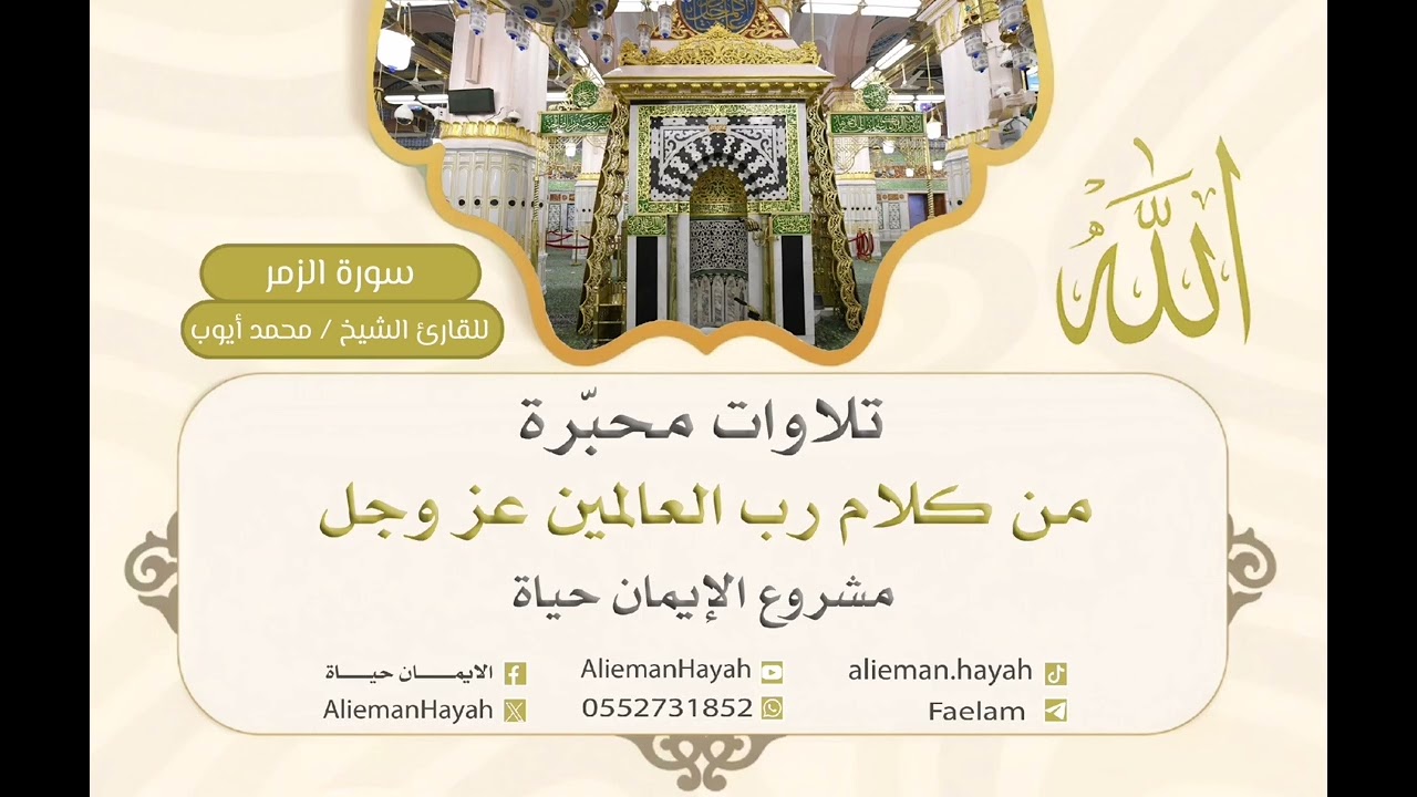 تلاوة سورة الزمر للقارئ الشيخ محمد أيوب