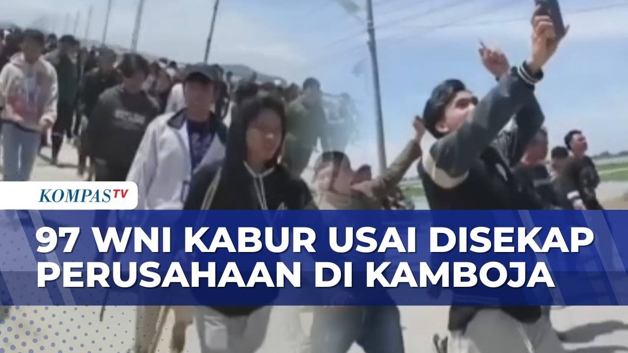 Ricuh! Detik-Detik 97 WNI Kabur dari Perusahaan Penipuan di Kamboja, 4 Diproses Hukum | BERUT