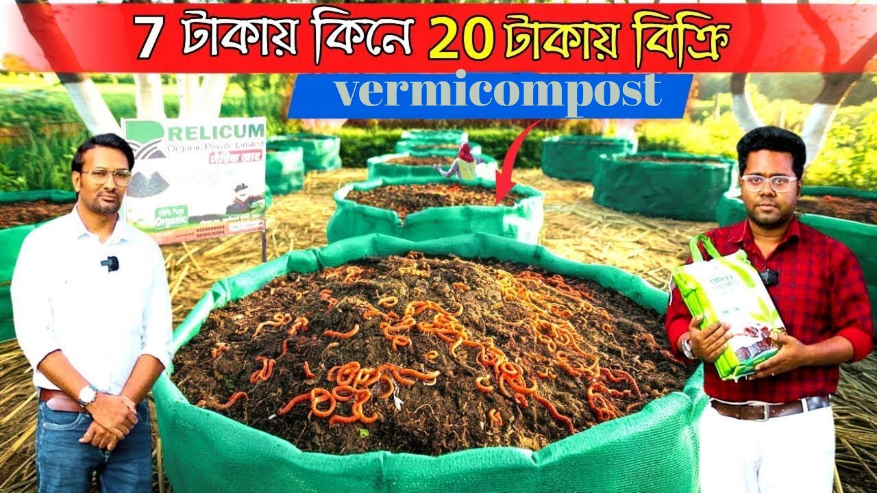 এটা কি পশ্চিমবঙ্গের সবচেয়ে লাভজনক ব্যবসা ? Vermicompost | কেঁচো সার | Organic Fertilizer