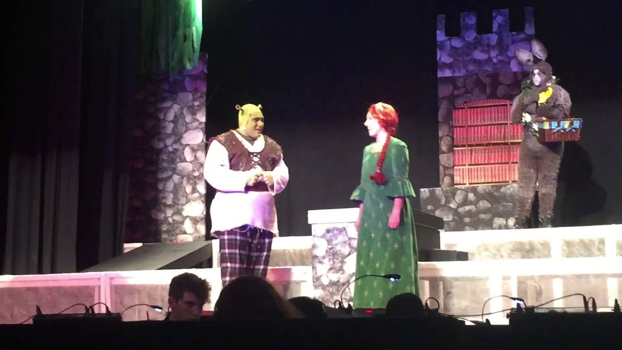 I think I got you beat Shrek the Musical