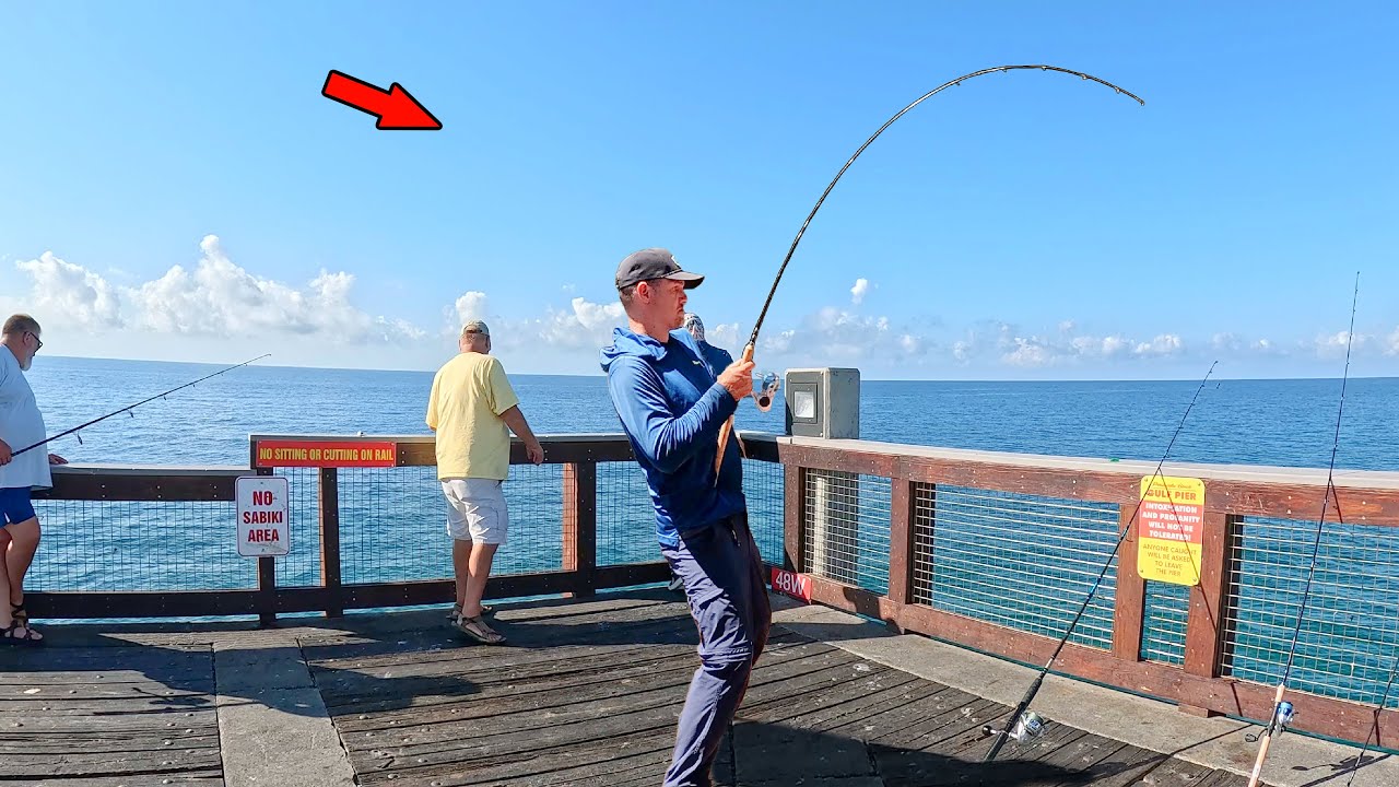I Hooked Everyone's Dream Fish from the Gulf Pier!