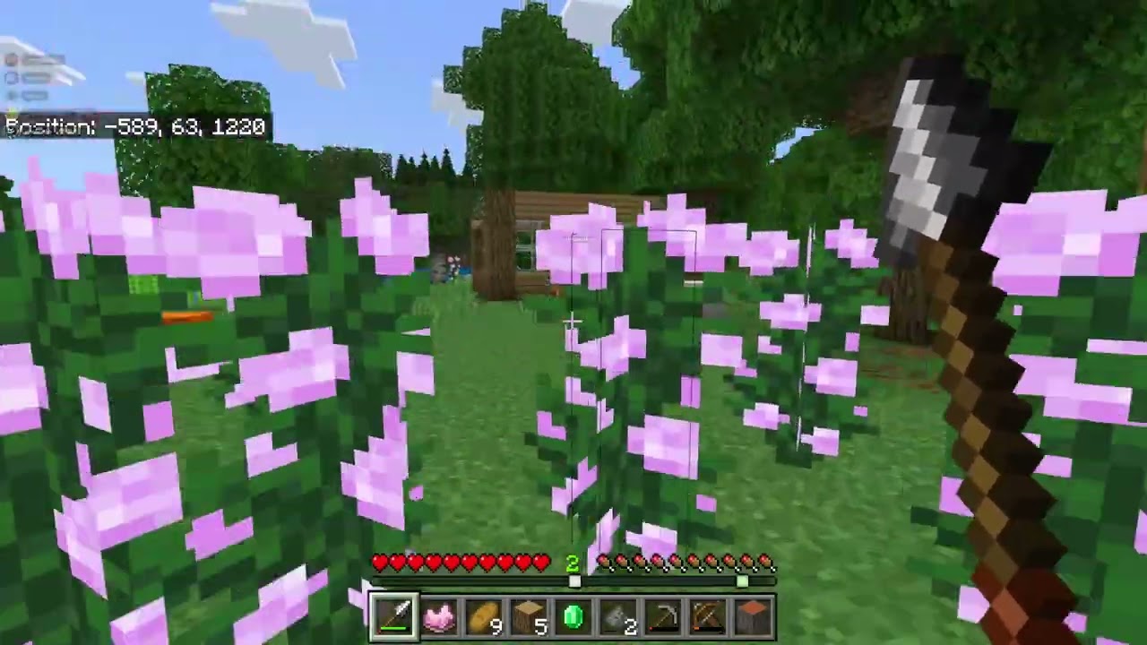 minecraft with the bros