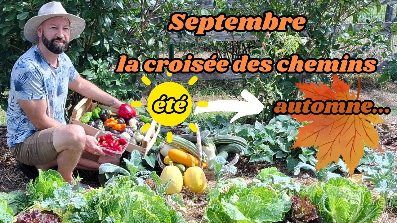 Septembre au potager ( La croisée des chemins)