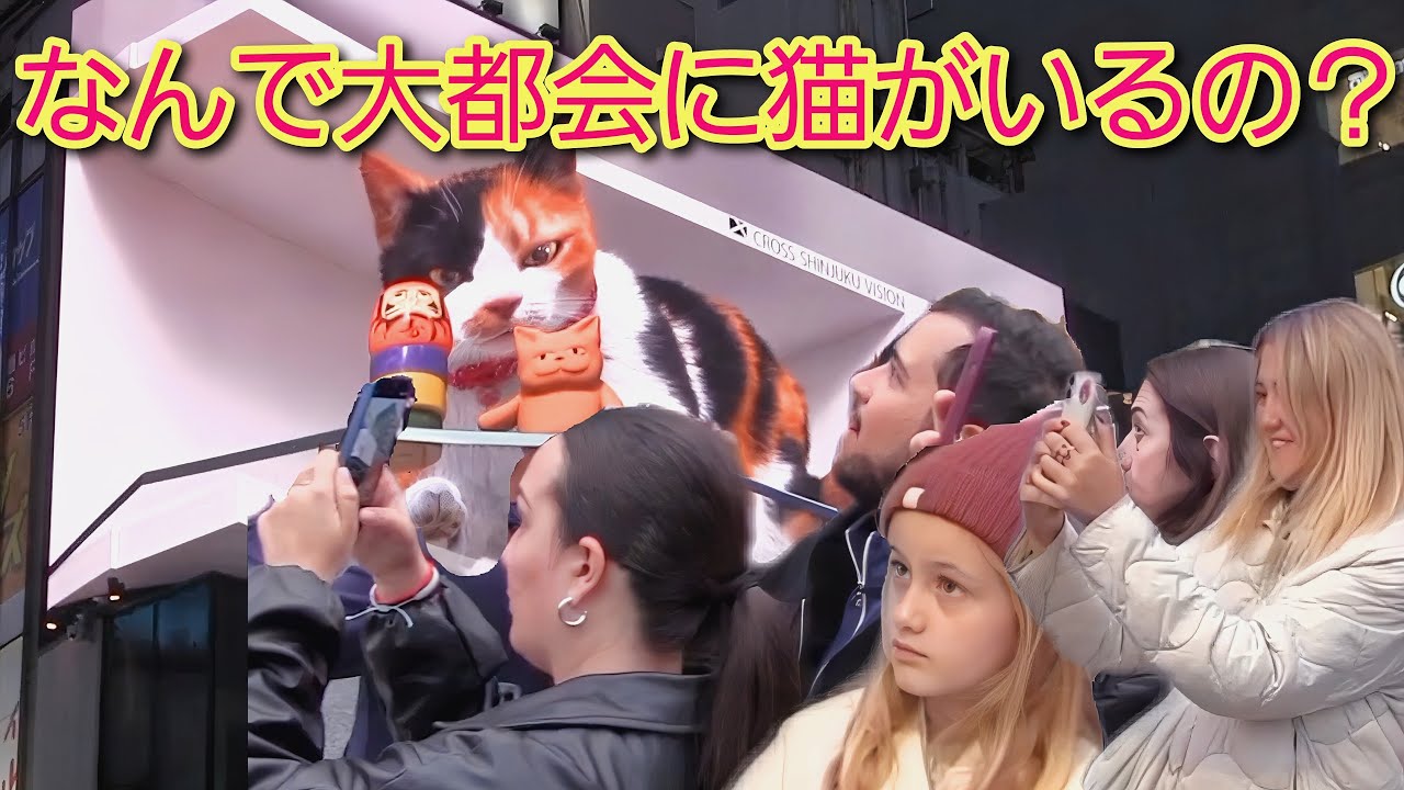 なんで大都会に巨大な猫がいるの？？外国人観光客がネコの3D広告に大ウケ
