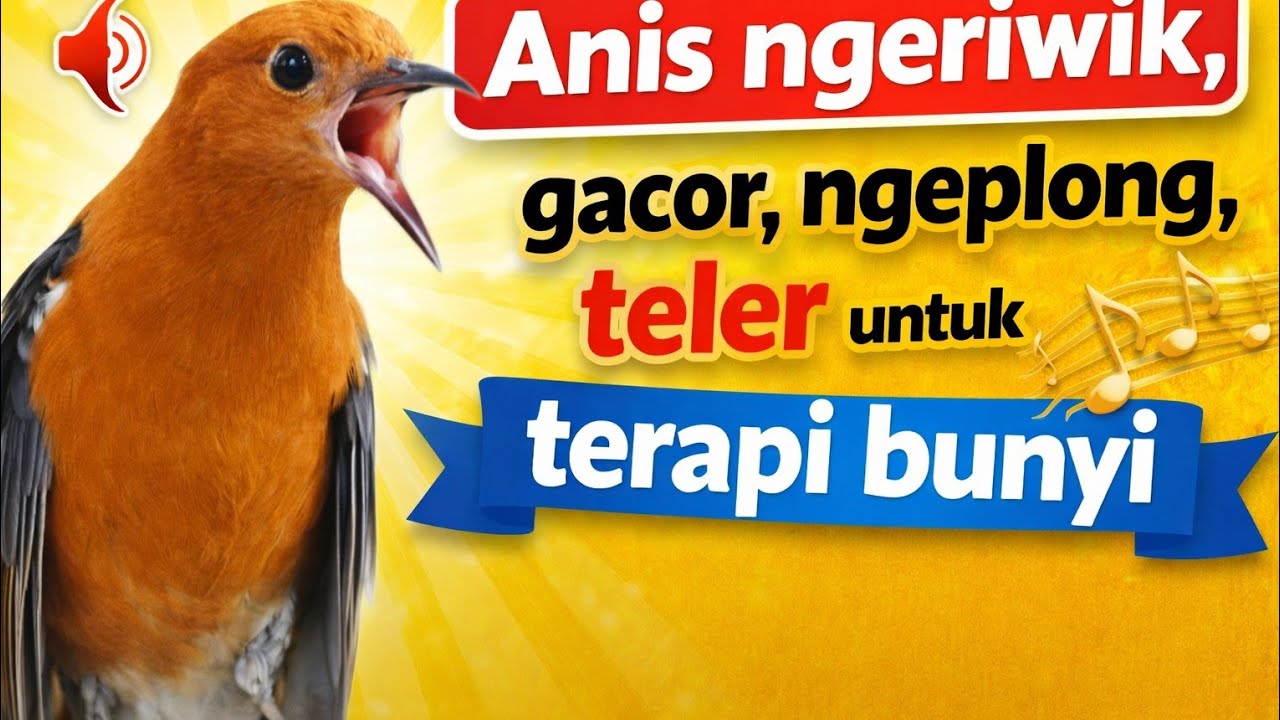 Anis Merah Ngeriwik, Gacor, Ngeplong, Teler untuk Terapi Bunyi