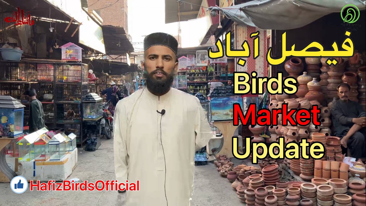 Faisalabad Sunday Bird's Market #trending #breeding #lovebird #parrot #birdsounds #viral #marketing.