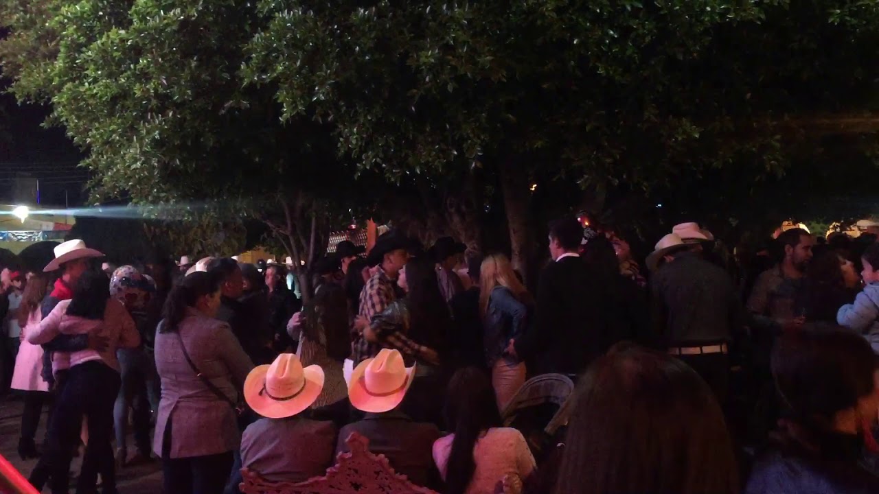 Huitzila Zacatecas 2020