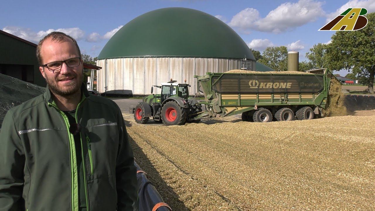 Maisernte 2023 Maish&auml;ckseln & Miete abdecken Funktion der Biogasanlage Traktoren Big Corn Harvest