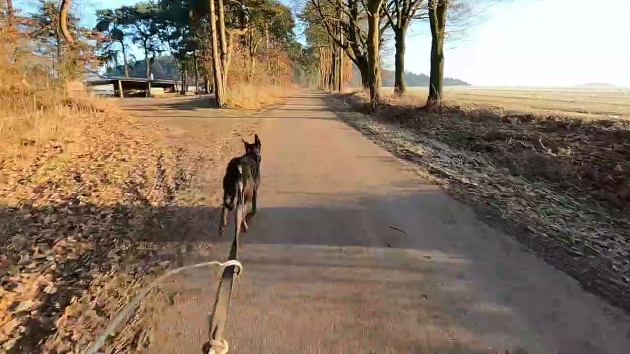 Bestes Wetter! Schön gefroren und strahlender Sonnenschein! Kaum Schlammspritzer auf den Klamotten 🤣