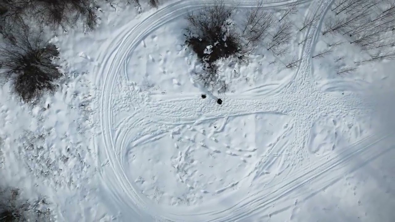 DJI Neo 2