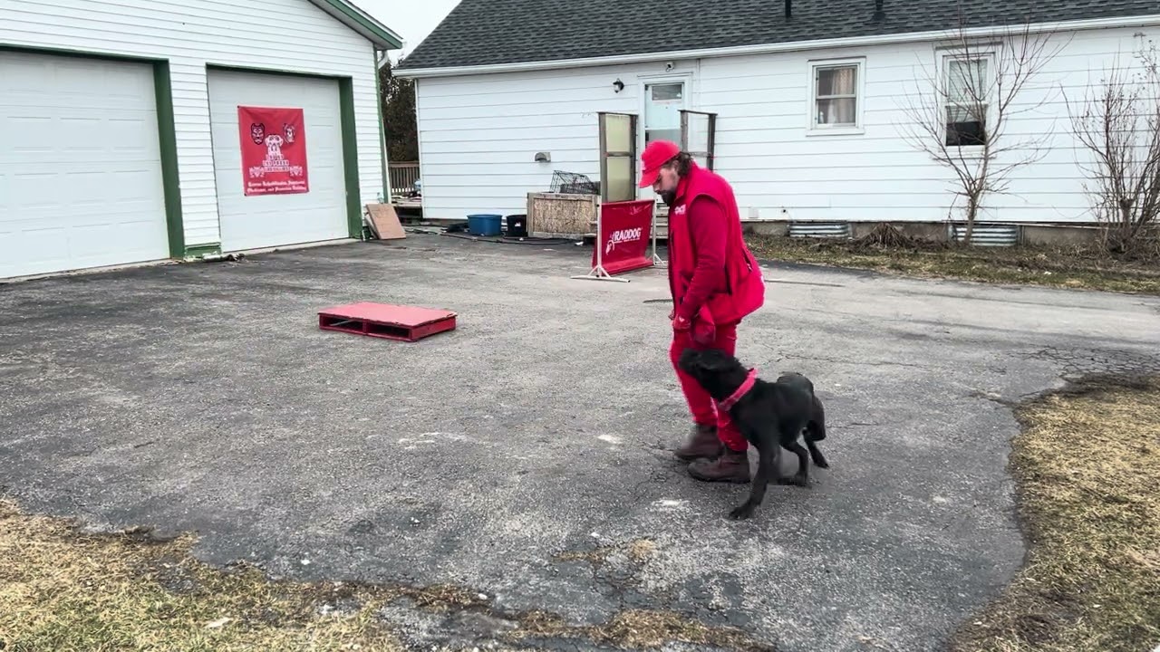 Morgan having fun with some jumps and a short session before the first board & train gets here!