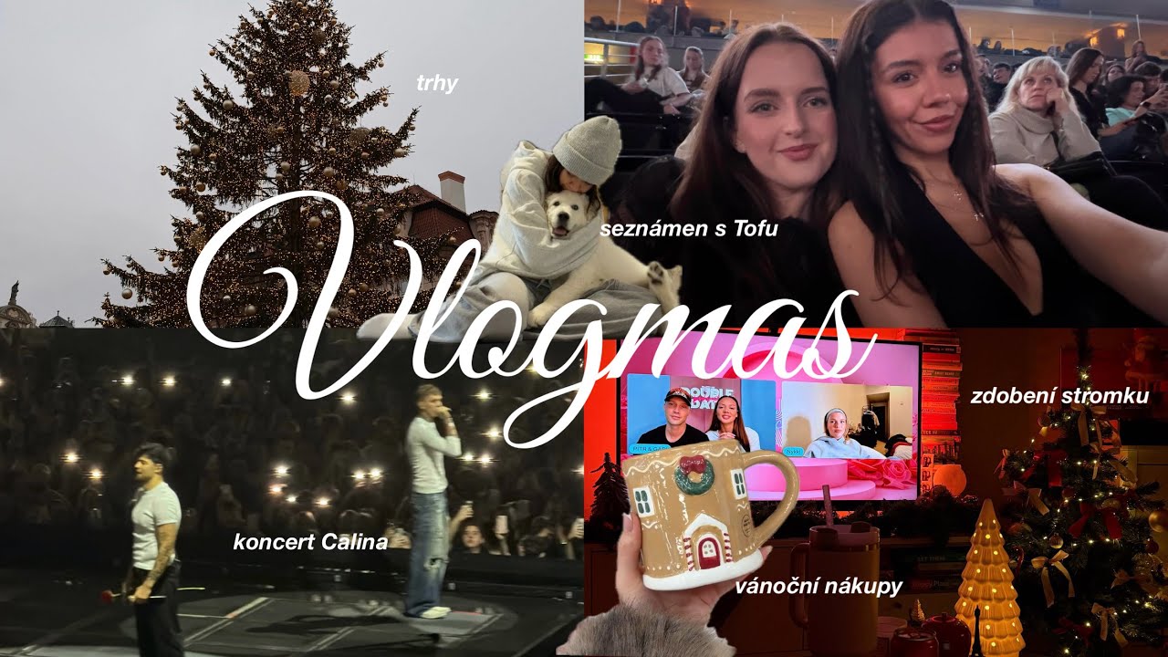 první vánoční vlog - zdobení stromku, trhy, vánoční nákupy, koncert Calina